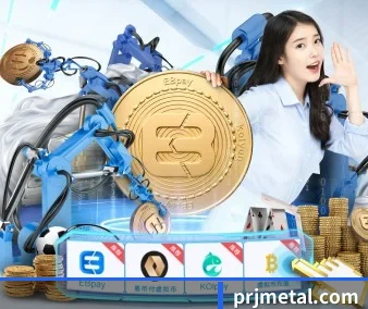 实时比分